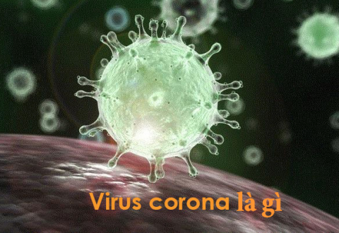 Virus corona là gì ? Nguồn gốc của virus corona từ đâu?