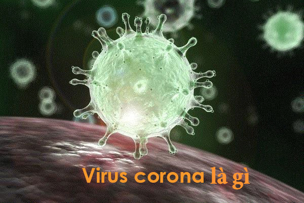 Virus corona là gì ? Nguồn gốc của virus corona từ đâu?
