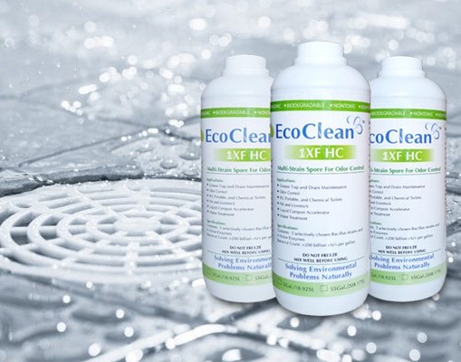 Sản phẩm vi sinh Ecoclean